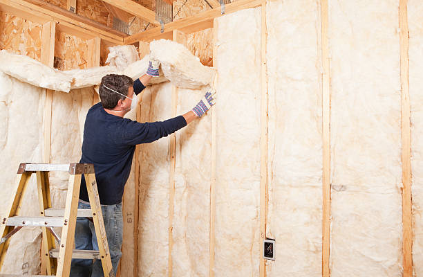 Best Attic Insulation Installation  in Bloomington, IL